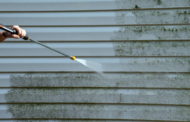 Best Roof Pressure Washing  in Rayre, MO